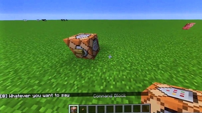 Minecraft Command block