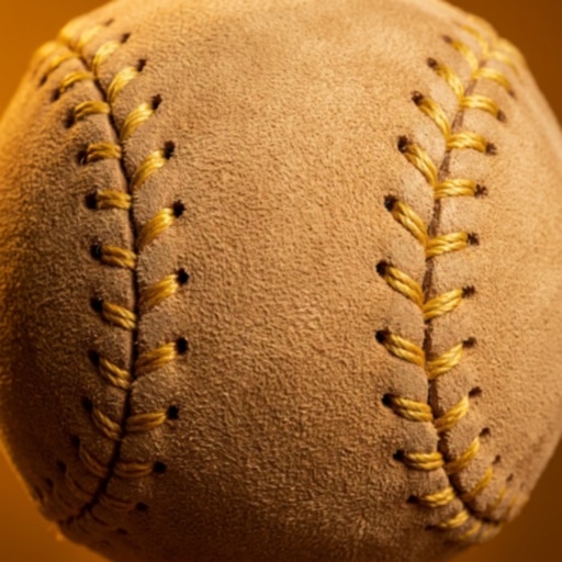 Baseball Boy! Hack