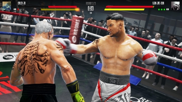 Real Boxing 2  MOD