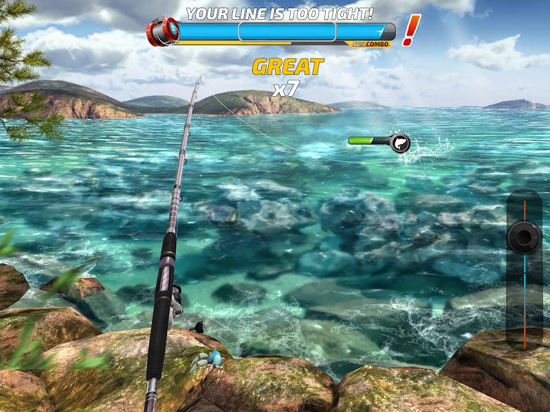 Fishing Clash: Catching Fish Game. Bass Hunting 3D