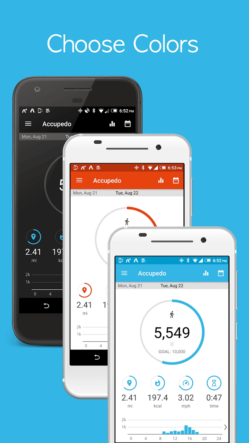 Accupedo-Pro Pedometer - Step Counter