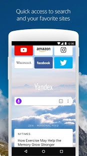 Yandex Browser (beta)