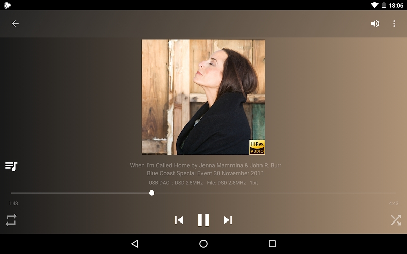 USB Audio Player PRO