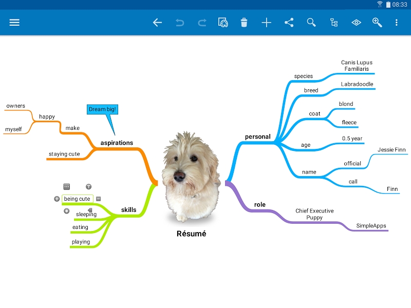 SimpleMind Pro - Intuitive Mind Mapping