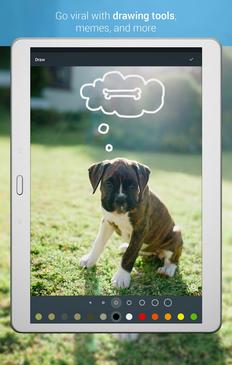Photo Editor by Aviary