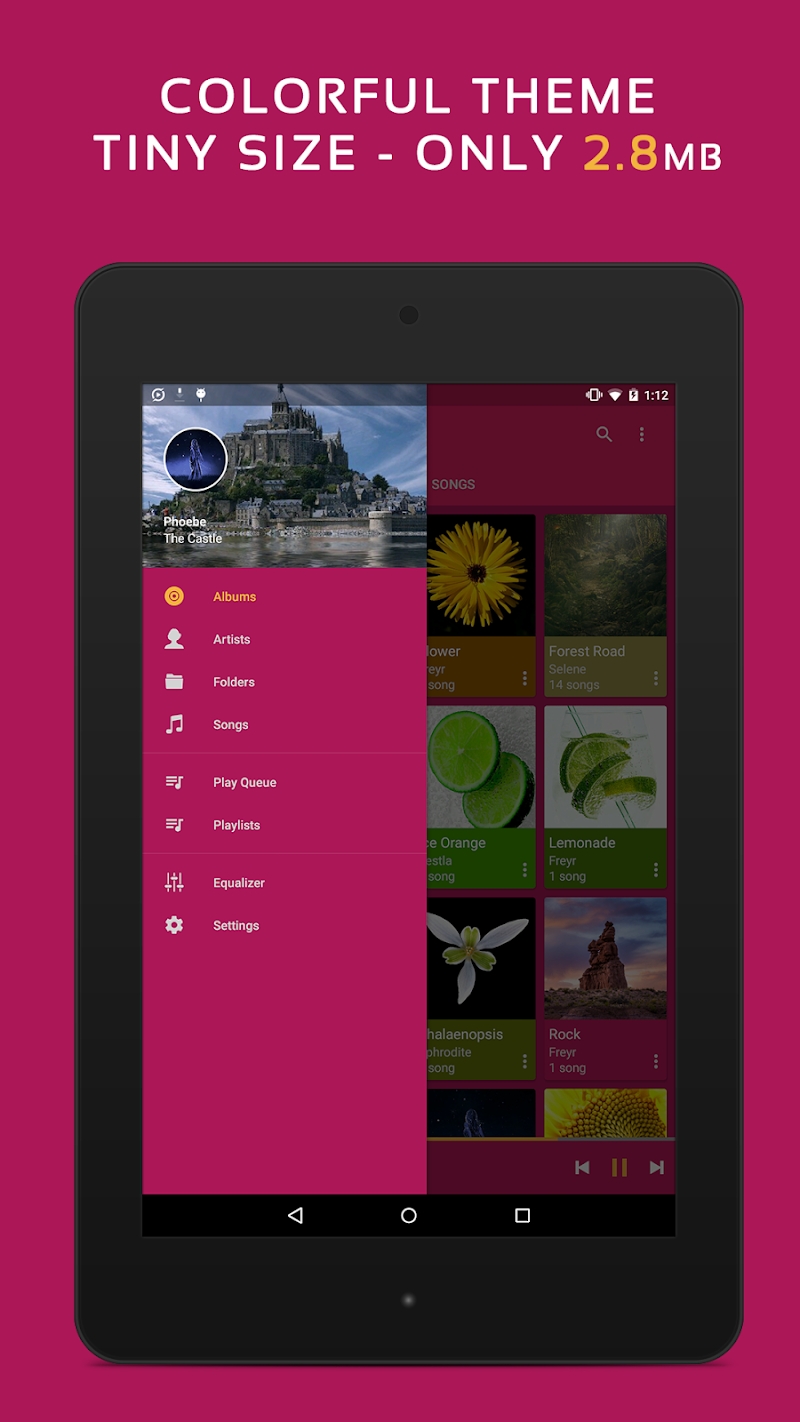 Pulsar Music Player Pro