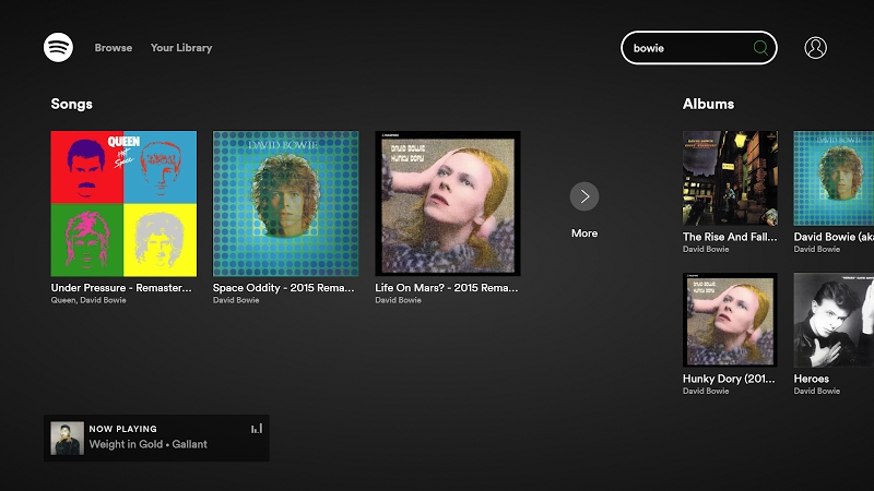 Spotify Music - for Android TV