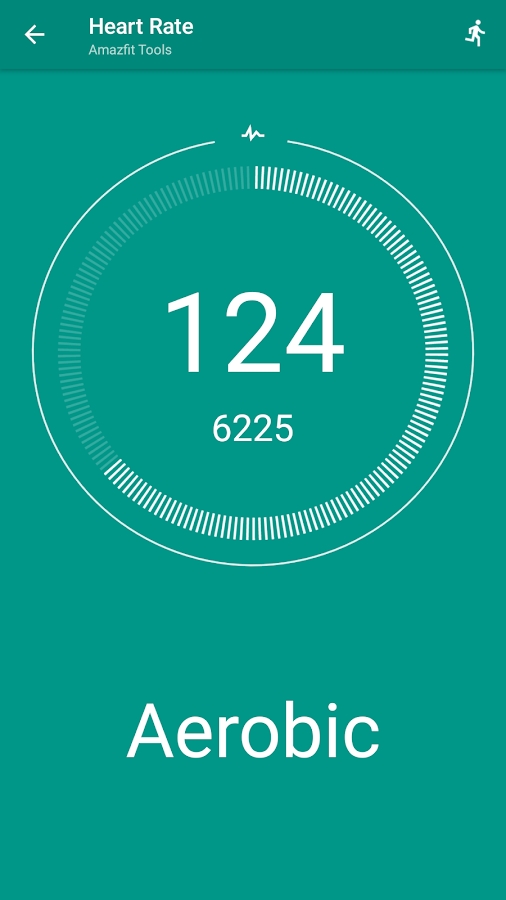 Tools & Amazfit
