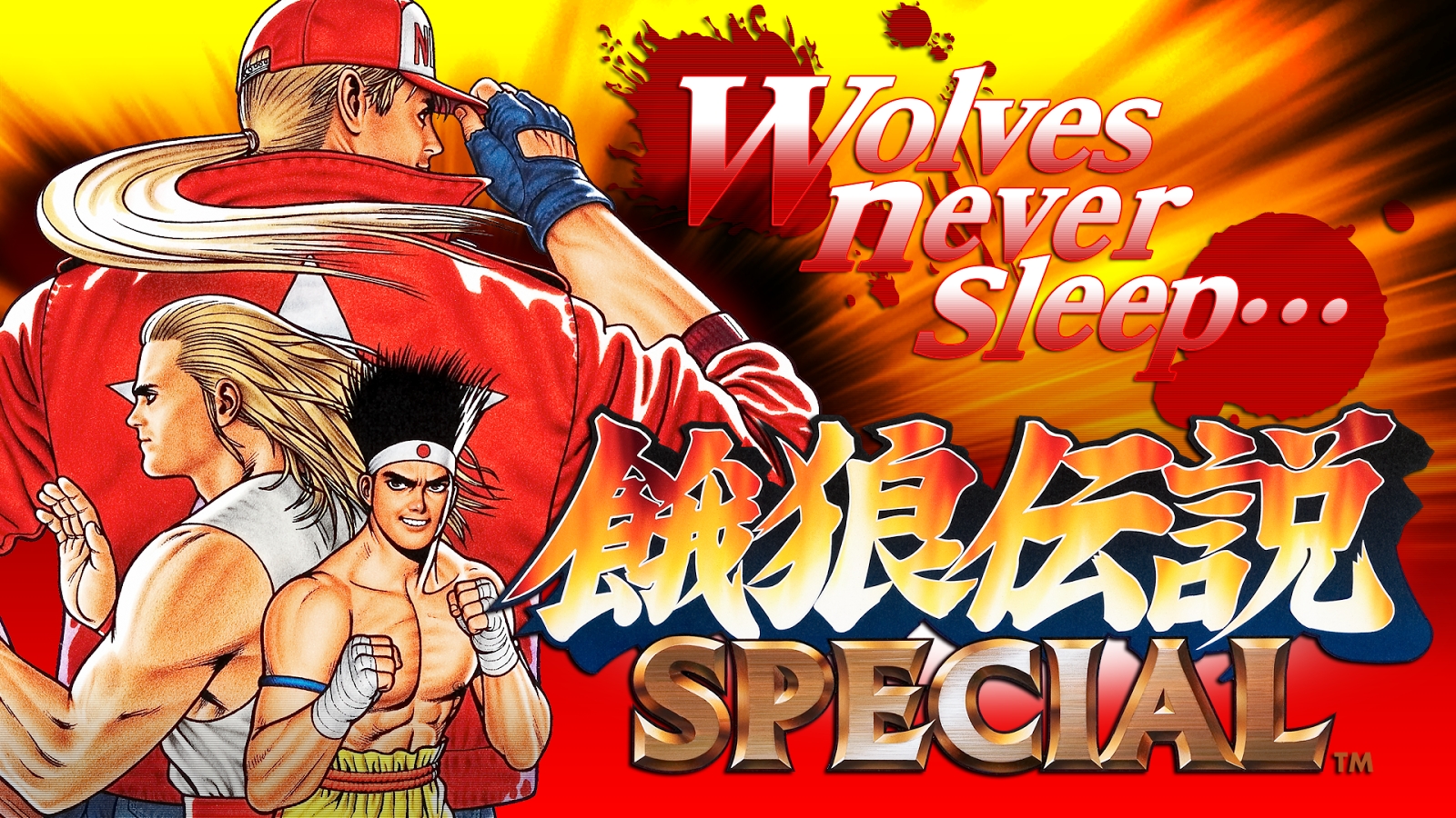 FATAL FURY SPECIAL