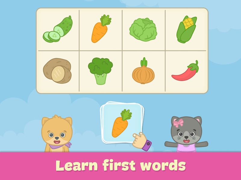 Baby flash cards for toddlers