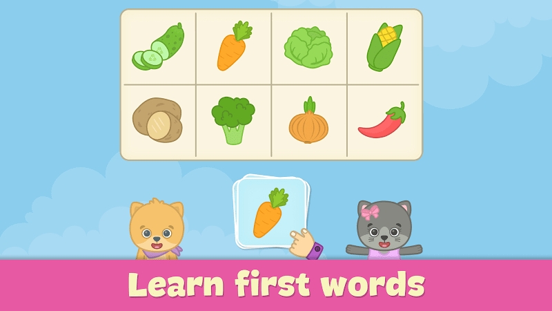 Baby flash cards for toddlers