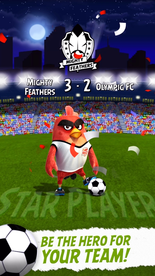 Angry Birds Goal!