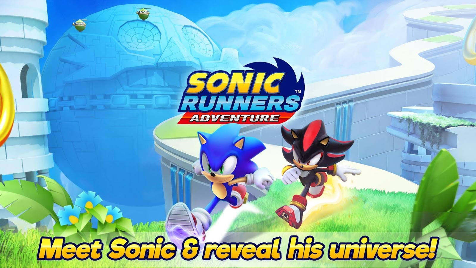 Sonic Runners Adventure