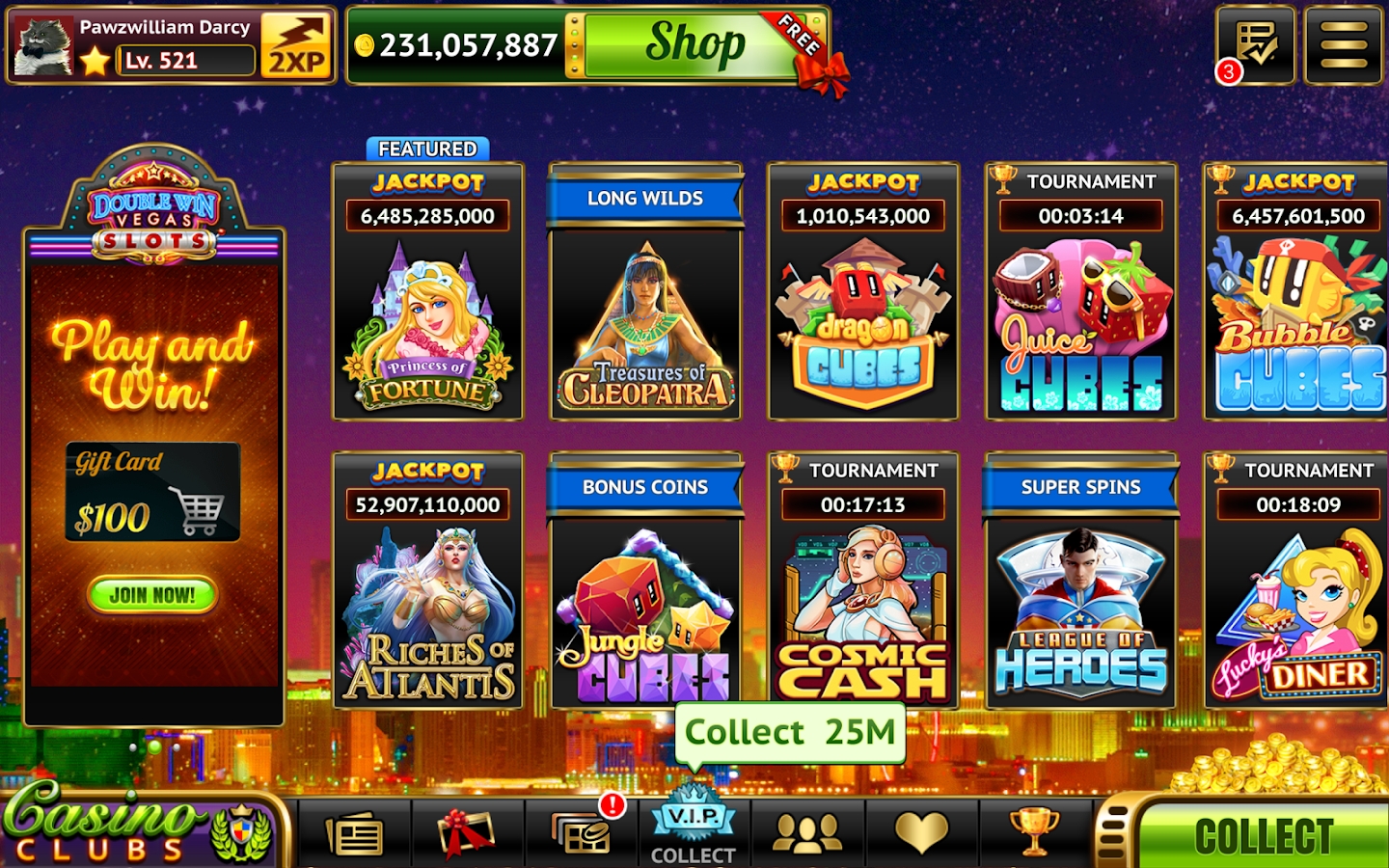 Double Win Vegas Slots