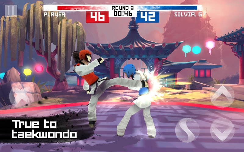Taekwondo Game