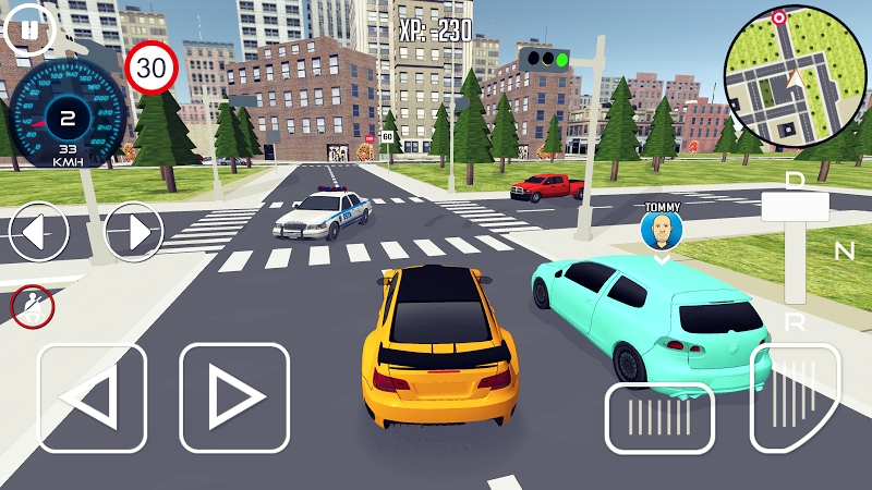 Driving School 3D