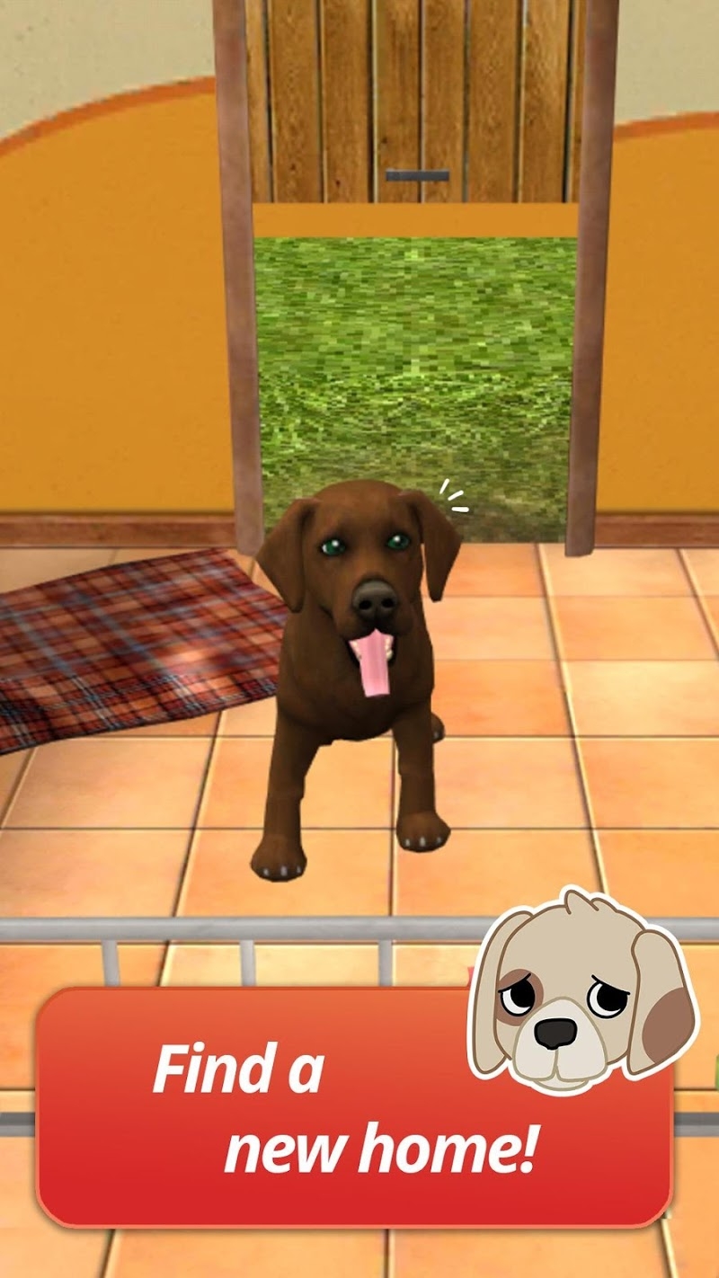 Pet World - My animal shelter - take care of them