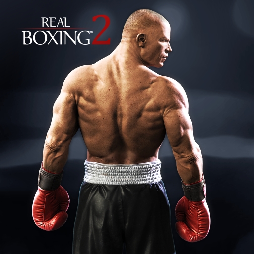 Royal Boxing 2