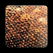 Komodo 11 Chess Engine