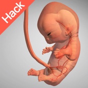 9 Months Hack