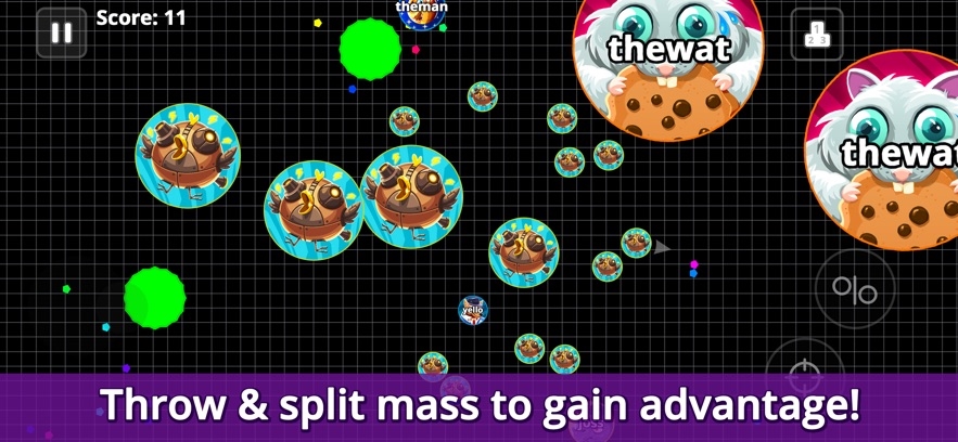 Agar.io Hack