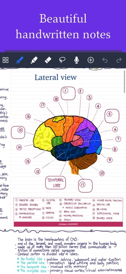 Noteful: Notes & PDF Markup Hack