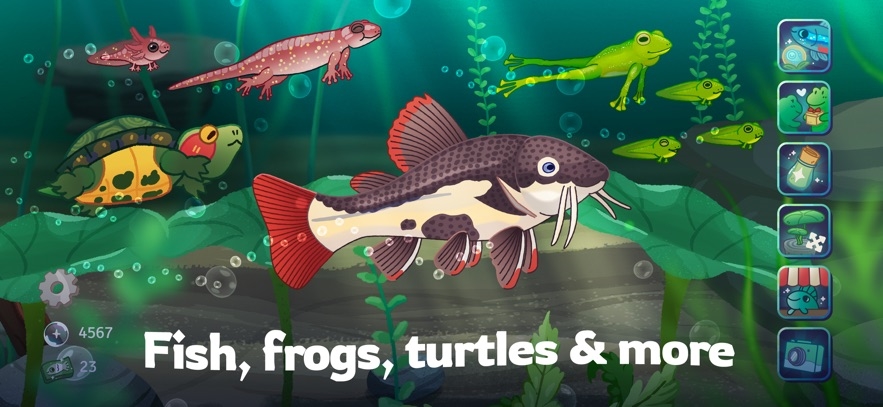 Pondlife — Relaxing Fish Game Hack