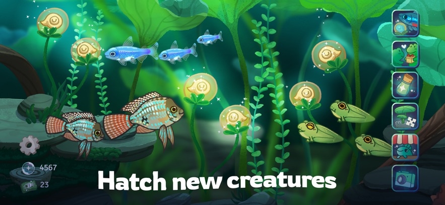Pondlife — Relaxing Fish Game Hack