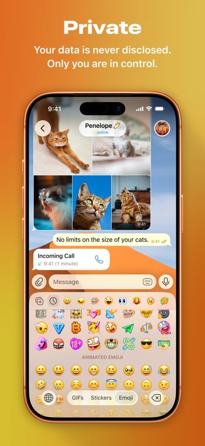 Telegram Messenger Hack