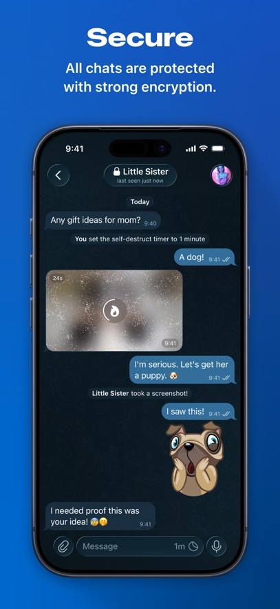 Telegram Messenger Hack