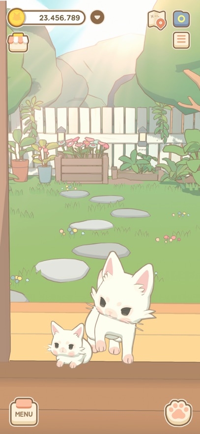 Window Meow Hack