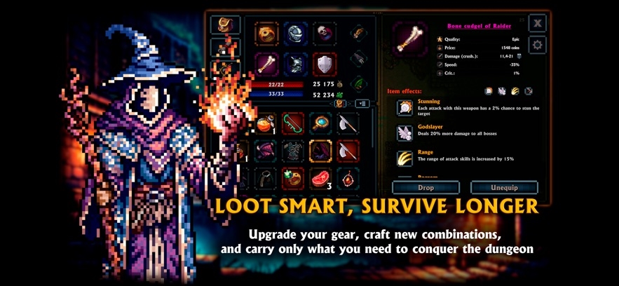 Pocket Rogues Hack