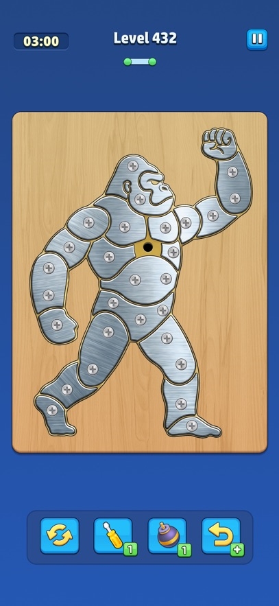 Take Off Bolts: Screw Puzzle Hack